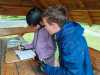 IMG-20260705-WA0017