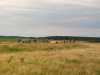 IMG-20260707-WA0014