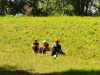 IMG-20260708-WA0016