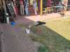 IMG-20260709-WA0005