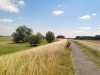 IMG-20260709-WA0008