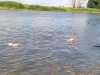 IMG-20260709-WA0011