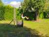 IMG-20260709-WA0014